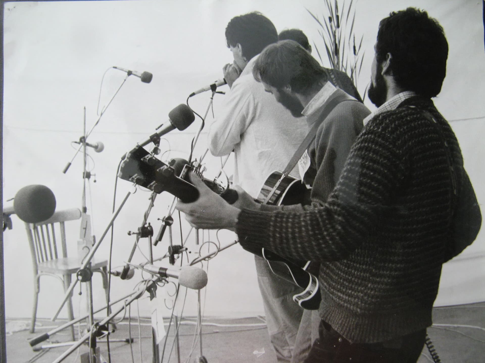 Holanský kapr, 1982 [3]